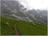 Malga Fosse - Cima Vezzana